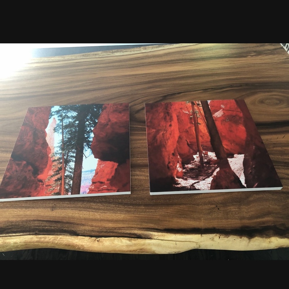 NEW Jetsan 2 Canvas Paintings (Red)